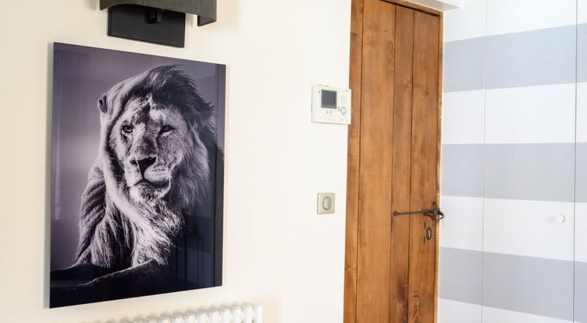 Photo of The Grey Stripes