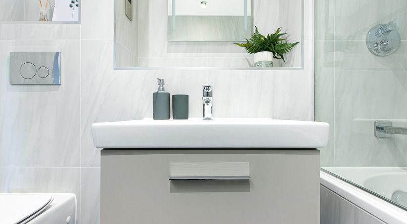 Photo of Hummingbird Song