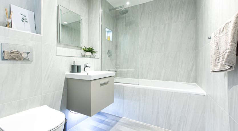 Photo of Hummingbird Song