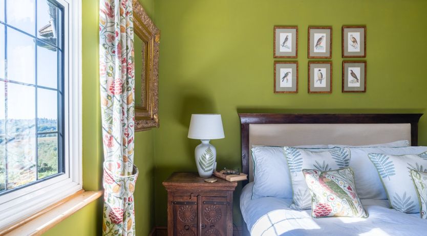 Photo of Antlers In The Forest