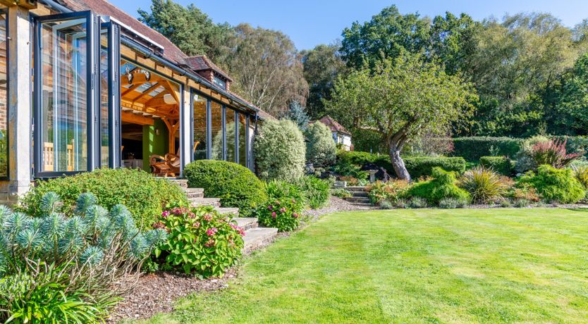 Photo of Antlers In The Forest