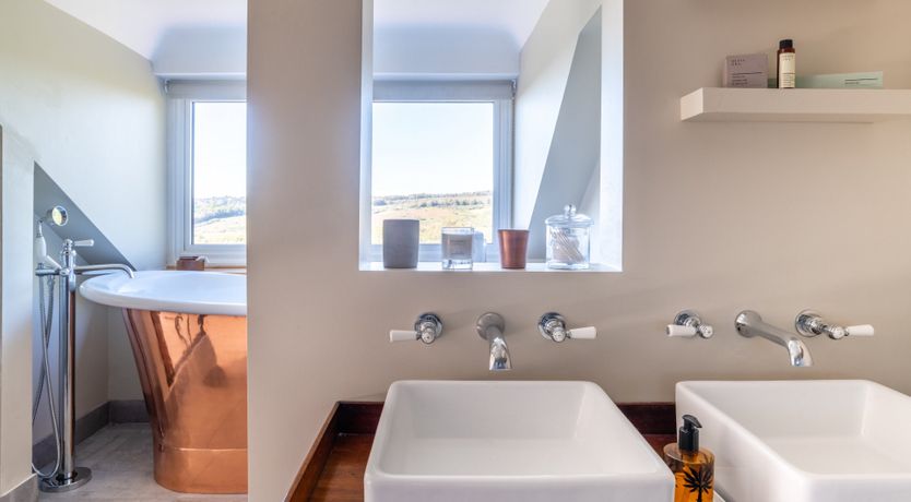 Photo of Antlers In The Forest