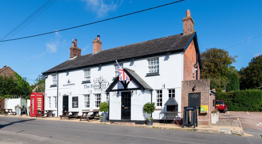Photo of Antlers In The Forest