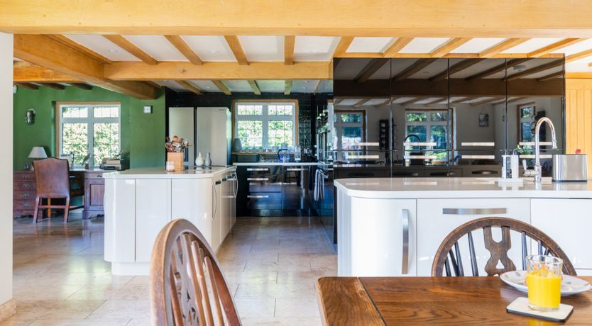 Photo of Antlers In The Forest