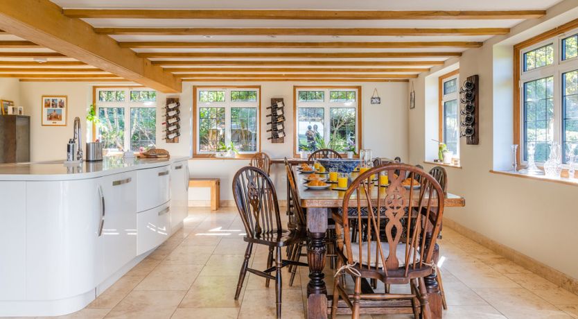 Photo of Antlers In The Forest