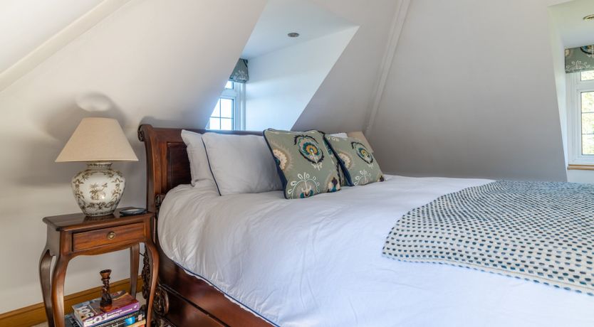 Photo of Antlers In The Forest