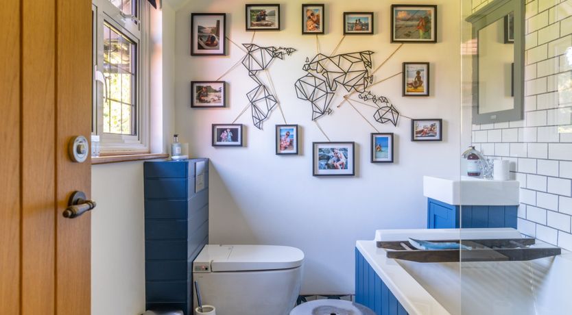 Photo of Antlers In The Forest