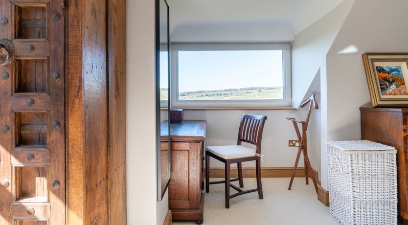 Photo of Antlers In The Forest