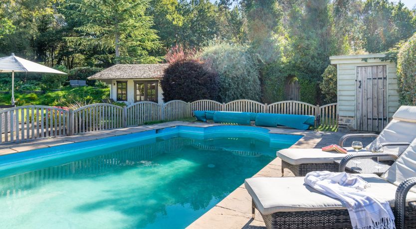 Photo of Antlers In The Forest