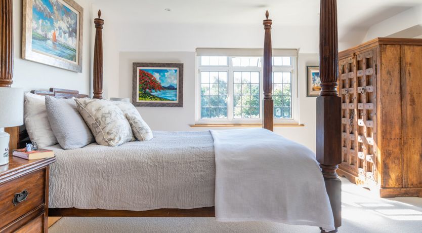 Photo of Antlers In The Forest