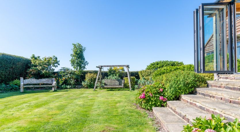 Photo of Antlers In The Forest