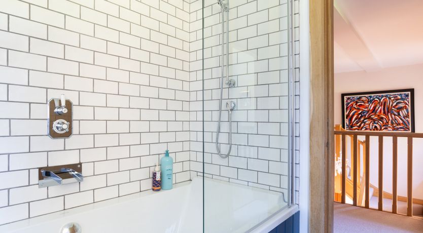 Photo of Antlers In The Forest