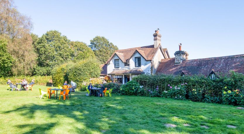 Photo of Antlers In The Forest