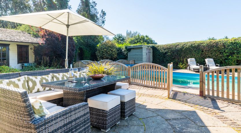 Photo of Antlers In The Forest