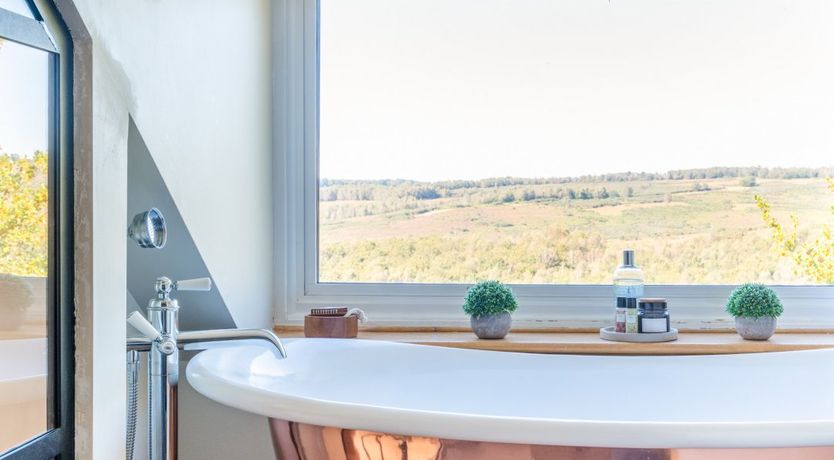 Photo of Antlers In The Forest