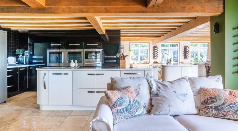 Photo of Antlers In The Forest