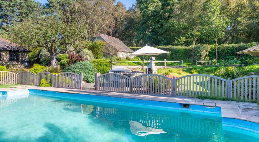 Photo of Antlers In The Forest
