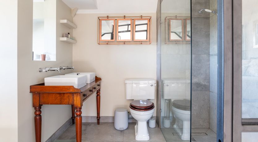 Photo of Antlers In The Forest