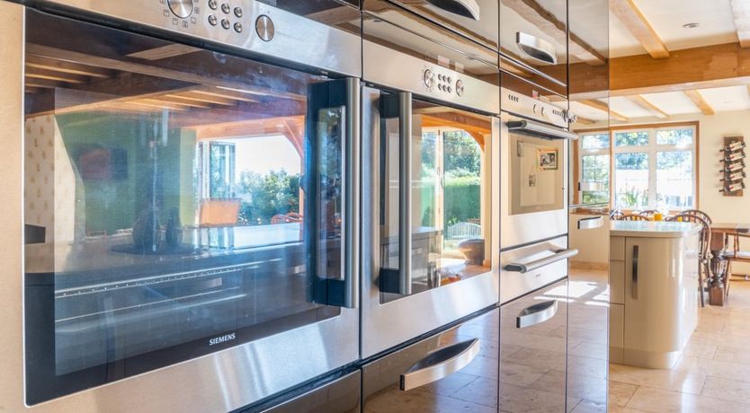 Photo of Antlers In The Forest