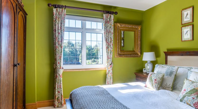 Photo of Antlers In The Forest