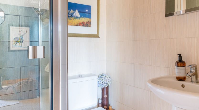 Photo of Antlers In The Forest