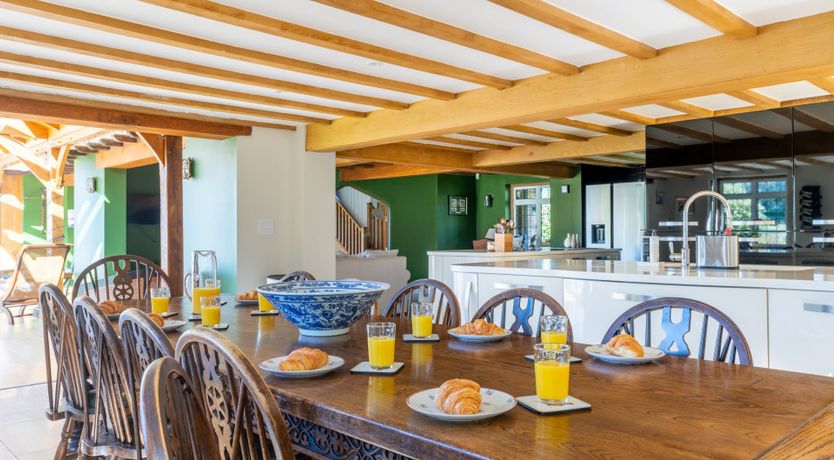 Photo of Antlers In The Forest