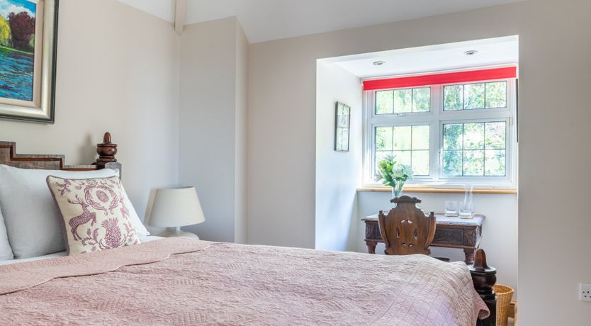 Photo of Antlers In The Forest