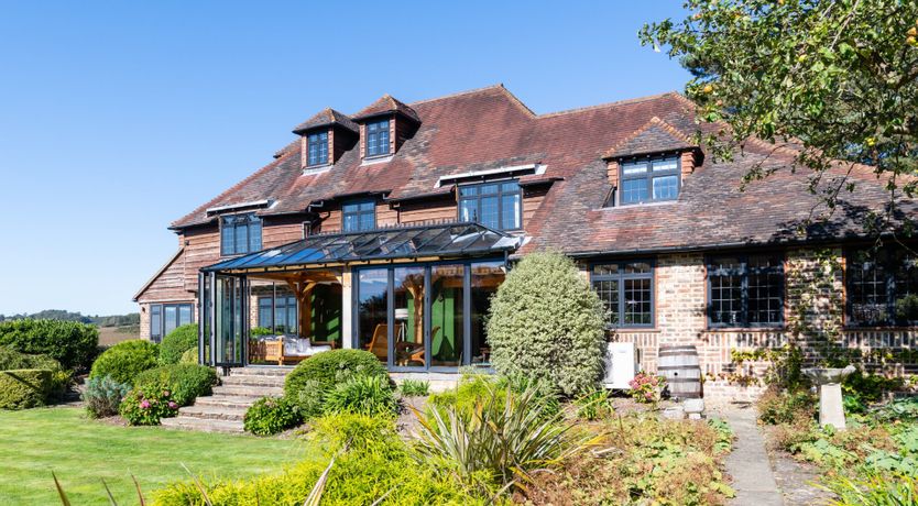 Photo of Antlers In The Forest