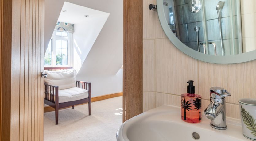 Photo of Antlers In The Forest