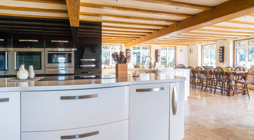 Photo of Antlers In The Forest