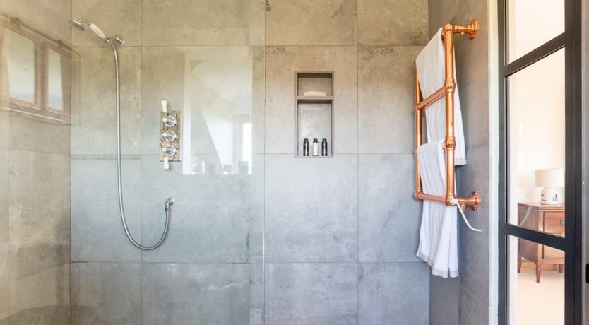 Photo of Antlers In The Forest