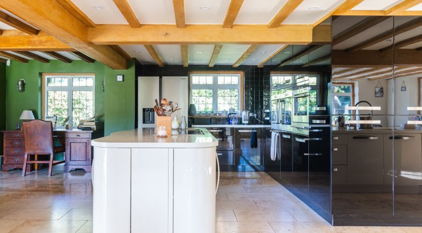 Photo of Antlers In The Forest