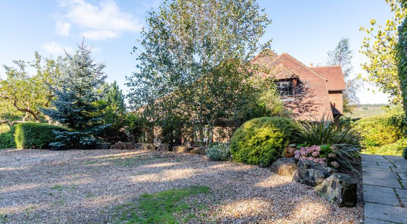 Photo of Antlers In The Forest