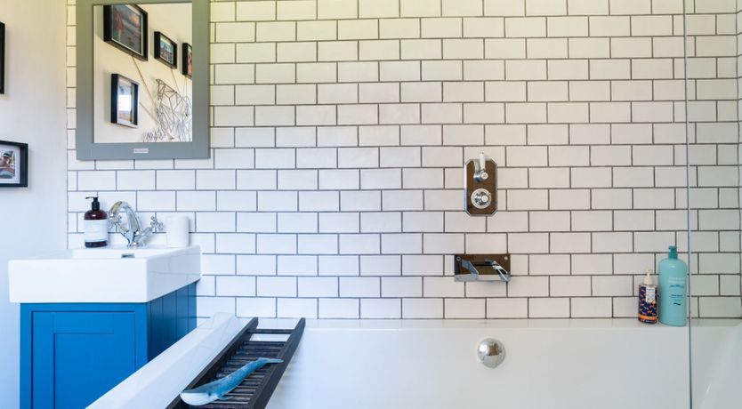 Photo of Antlers In The Forest