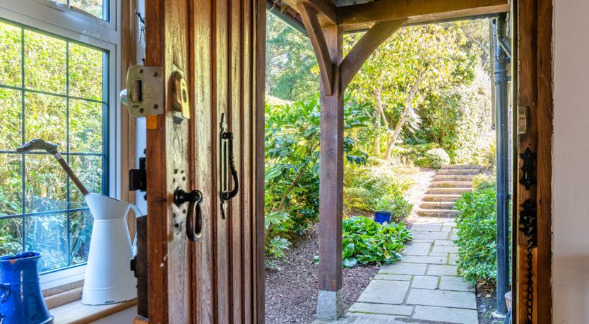 Photo of Antlers In The Forest