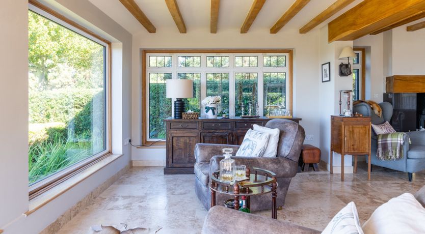 Photo of Antlers In The Forest