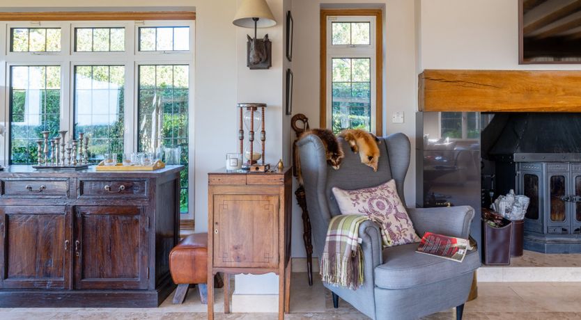 Photo of Antlers In The Forest