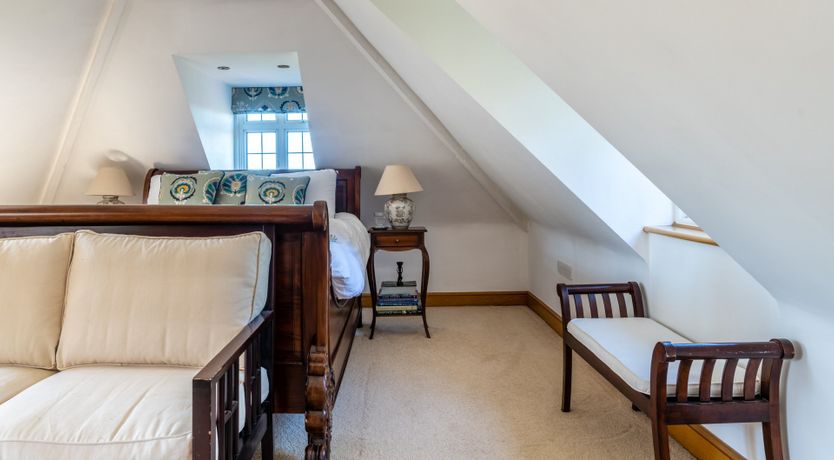 Photo of Antlers In The Forest