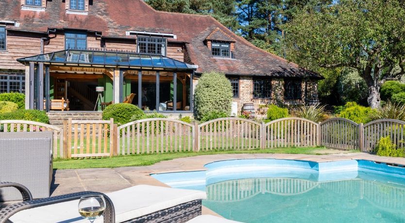 Photo of Antlers In The Forest