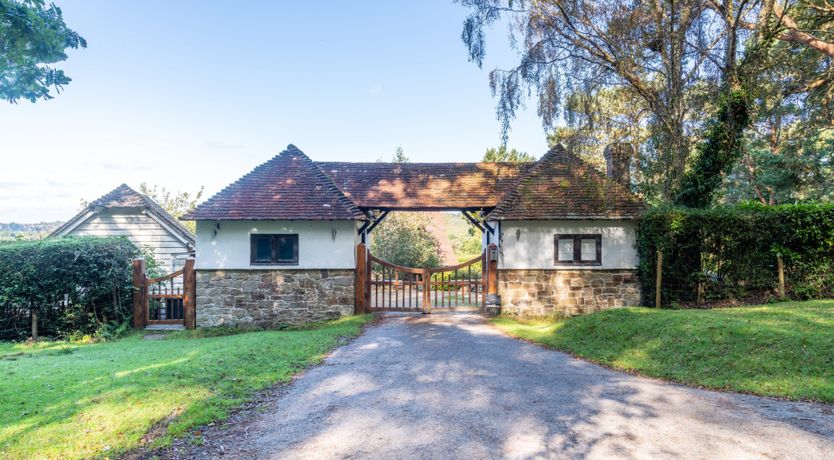 Photo of Antlers In The Forest