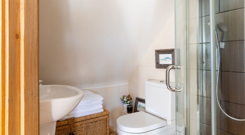 Photo of Antlers In The Forest