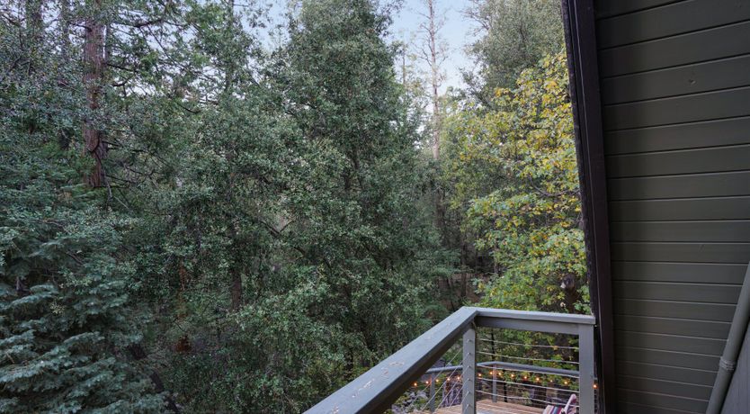 Photo of Faraway Tree