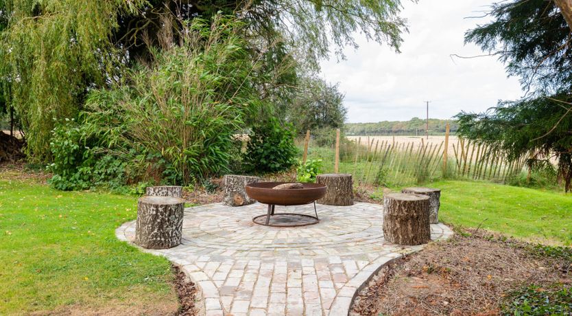 Photo of Golden Barley