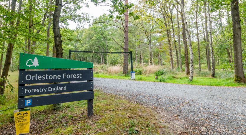 Photo of Golden Barley