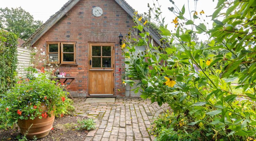 Photo of Golden Barley