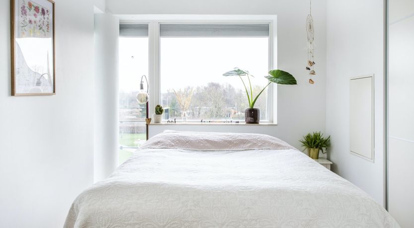 Photo of The Baker & The Photographer