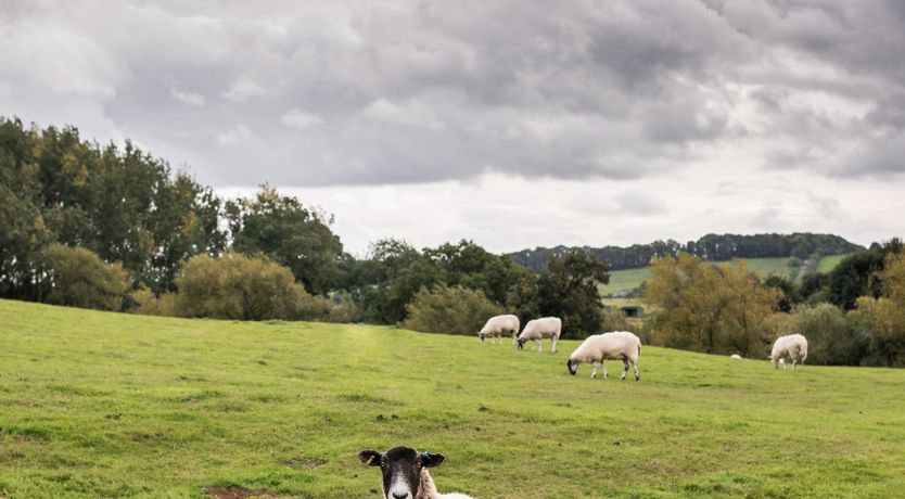 Photo of The Cotswold Way