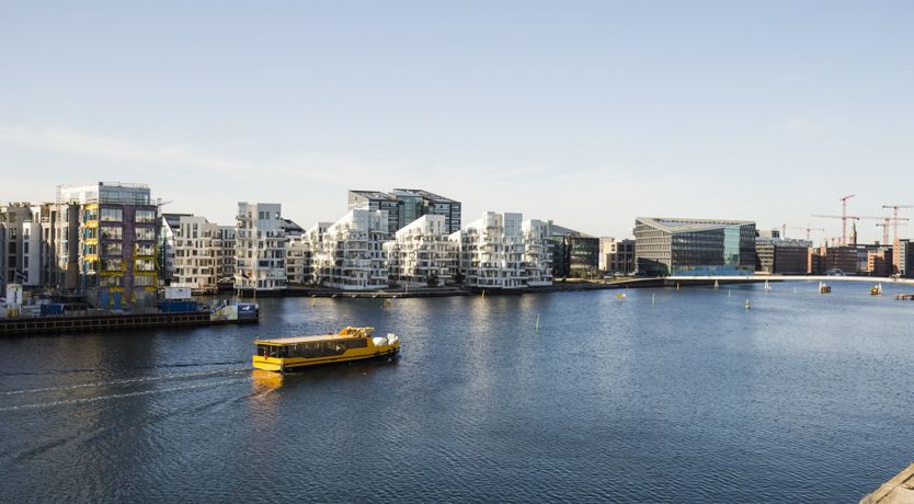 Photo of The Gantzel Studio