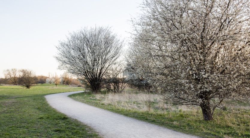 Photo of The Gantzel Studio