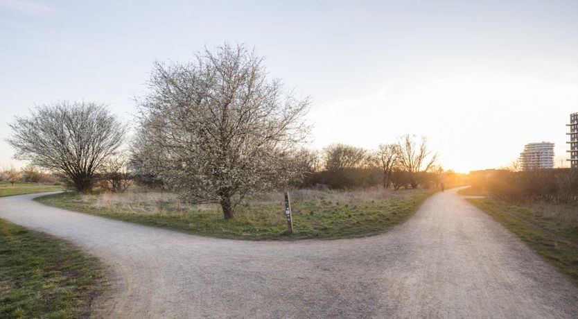 Photo of The Gantzel Studio